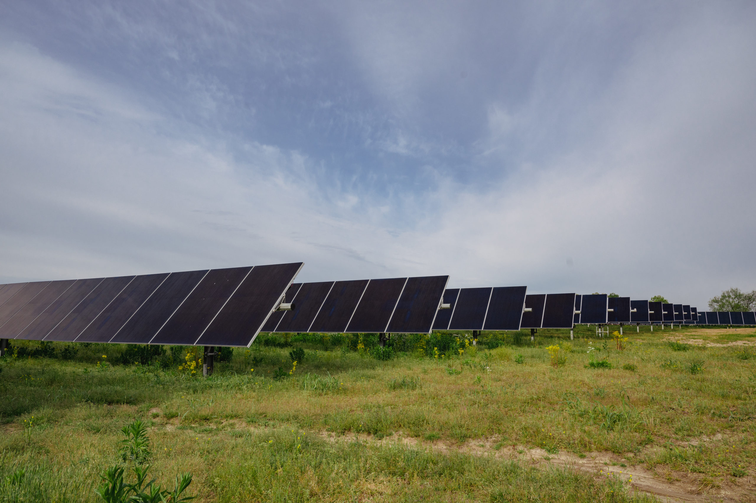 Czy Google będzie w stanie wchłonąć wystarczającą ilość energii odnawialnej?